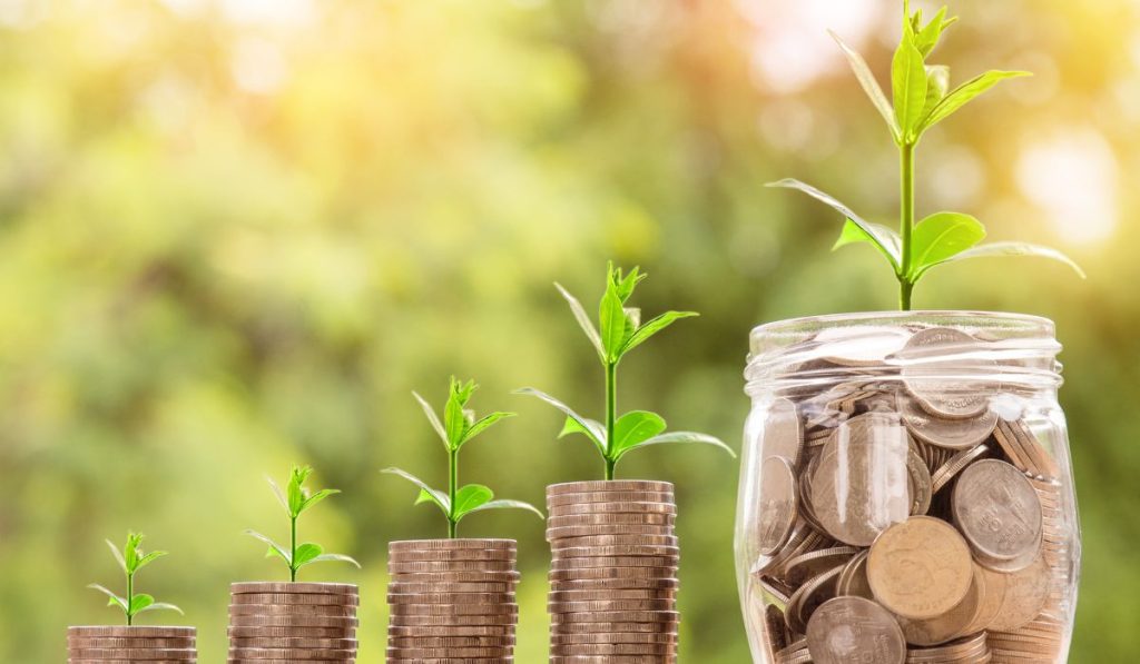 A Beginner’s Guide to Investing: How to Start Building Wealth Today